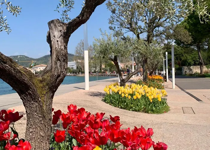 Apartment Idyllische Mit Garten Und Pool